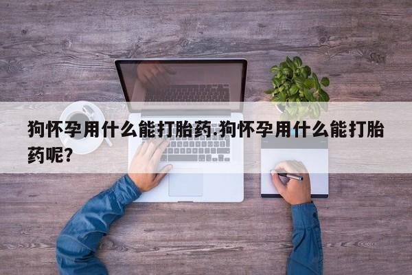 网上米非司酮打胎药官网狗怀孕用什么能打胎药.狗怀孕用什么能打胎药呢？