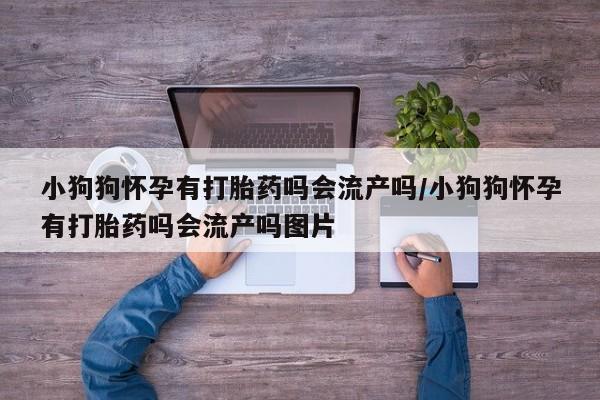 网上米非司酮打胎药官网小狗狗怀孕有打胎药吗会流产吗/小狗狗怀孕有打胎药吗会流产吗图片