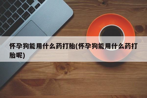 网上米非司酮打胎药官网怀孕狗能用什么药打胎(怀孕狗能用什么药打胎呢)